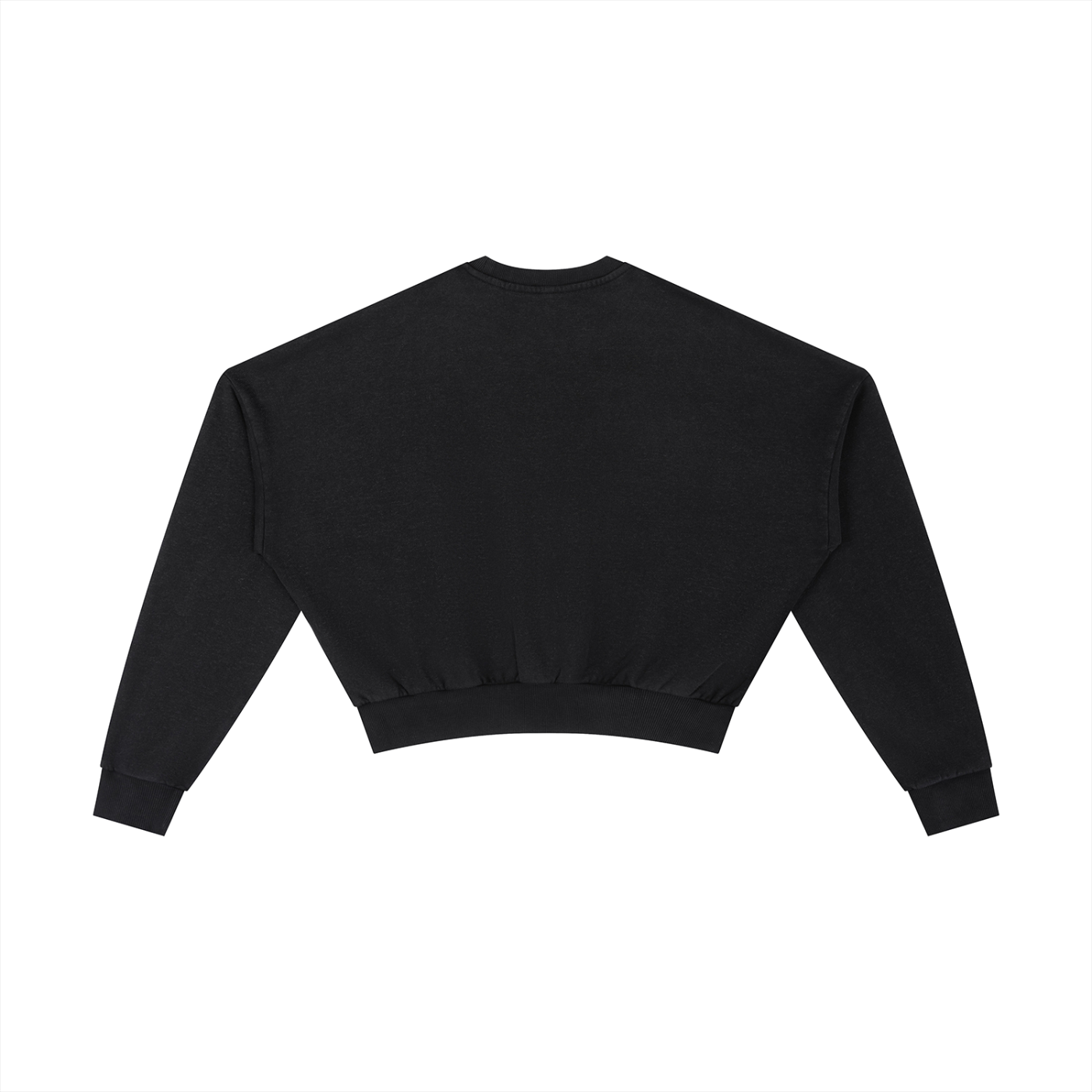 SP Vintage Washed Cropped Sweatshirt