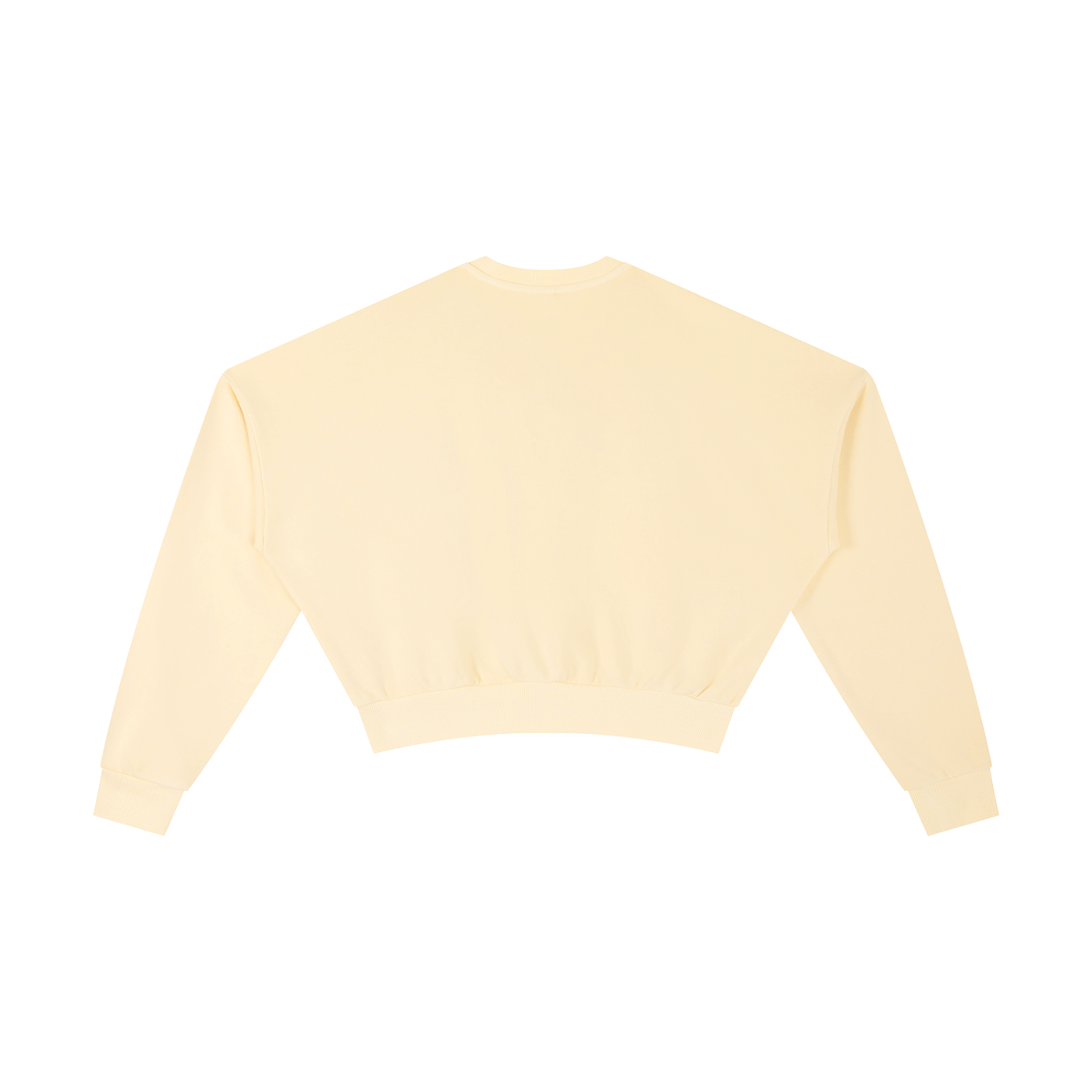 SP Vintage Washed Cropped Sweatshirt