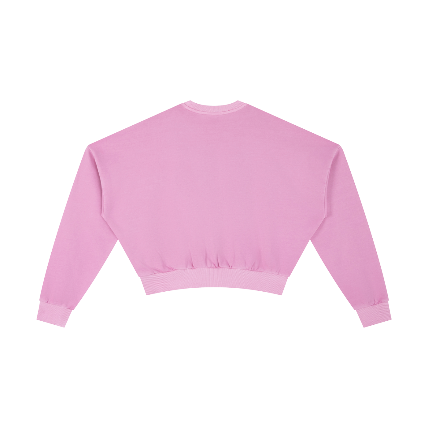 SP Vintage Washed Cropped Sweatshirt